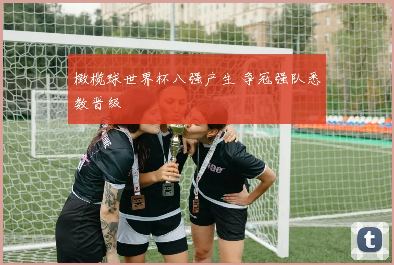橄榄球世界杯八强产生 争冠强队悉数晋级