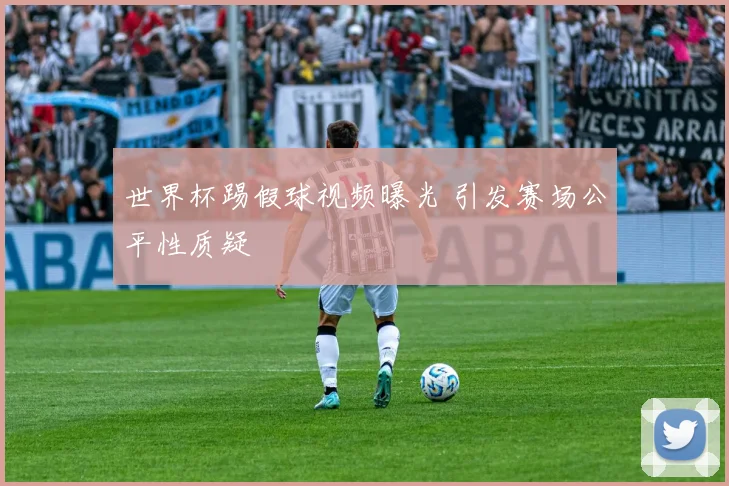 世界杯踢假球视频曝光 引发赛场公平性质疑