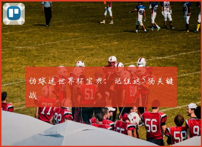 伪球迷世界杯宝典:记住这5场关键战
