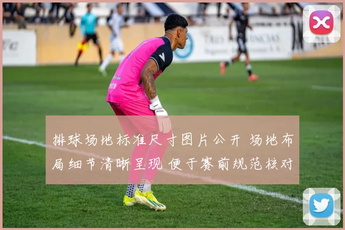 排球场地标准尺寸图片公开 场地布局细节清晰呈现 便于赛前规范核对
