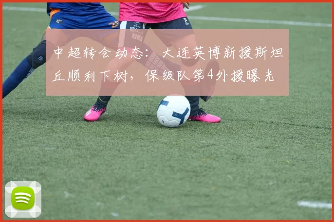 中超转会动态：大连英博新援斯坦丘顺利下树，保级队第4外援曝光