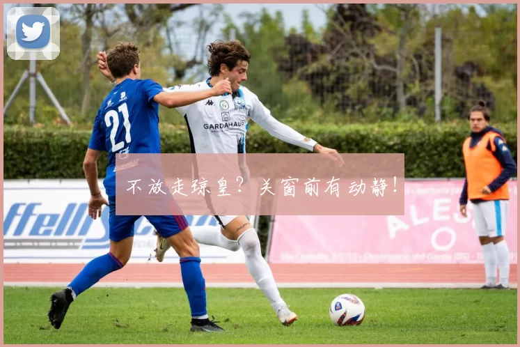 不放走琼皇?关窗前有动静!