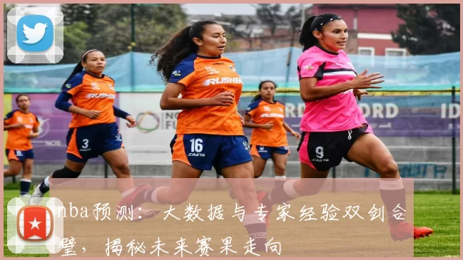 nba预测：大数据与专家经验双剑合璧，揭秘未来赛果走向