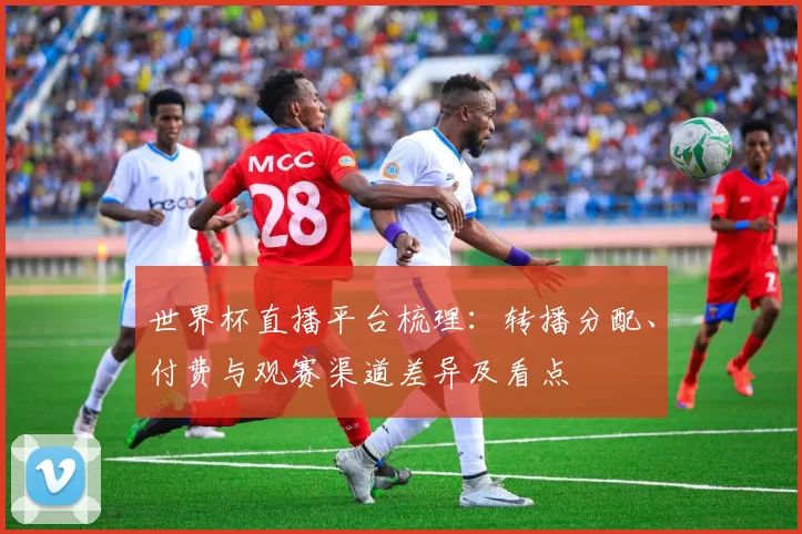 世界杯直播平台梳理：转播分配、付费与观赛渠道差异及看点