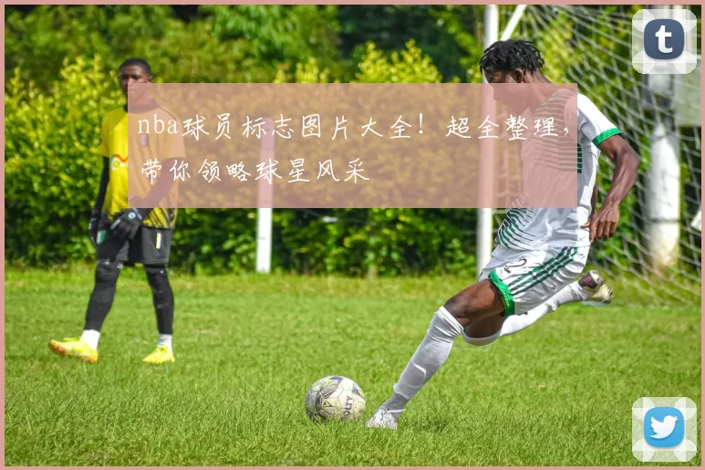 nba球员标志图片大全！超全整理，带你领略球星风采