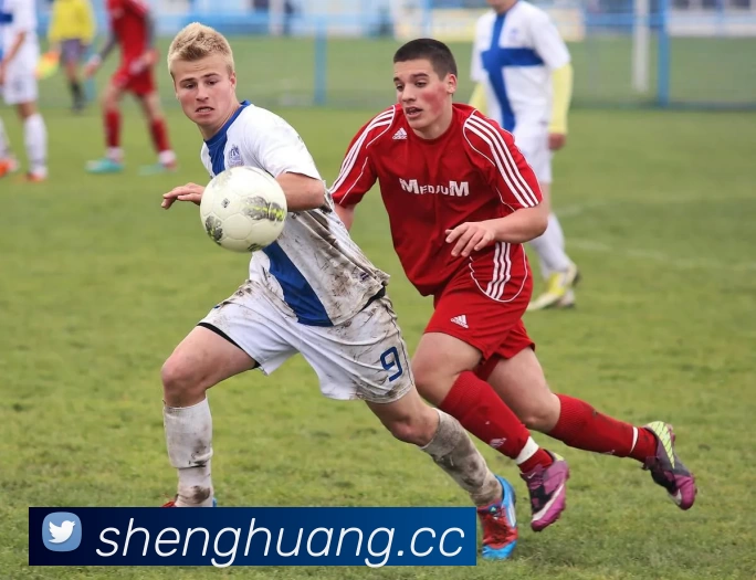 开云(中国)Kaiyun·官方网站 - 科技股份有限公司品牌故事