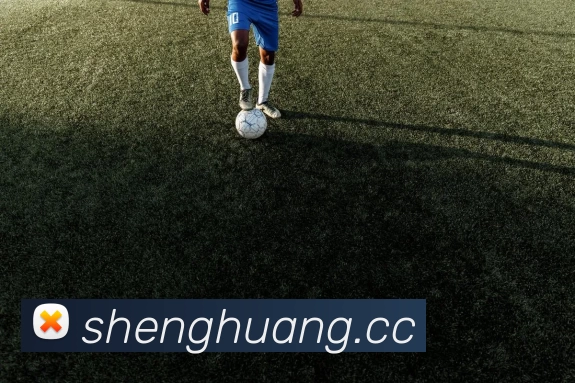 开云(中国)Kaiyun·官方网站 - 科技股份有限公司服务体系